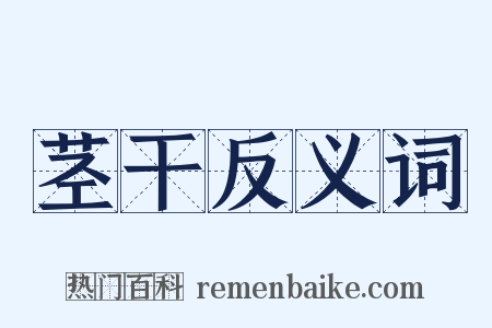 茎干反义词是什么意思的图片